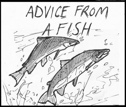ADVICE FROM A FISH